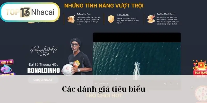 Các đánh giá tiêu biểu