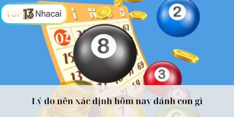 Lý do nên xác định hôm nay đánh con gì