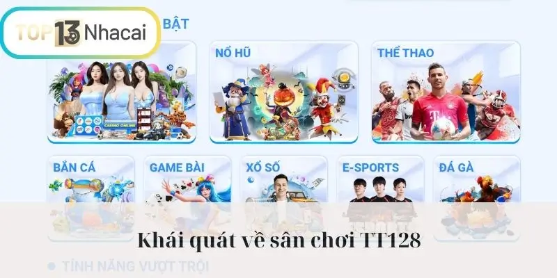 Khái quát về sân chơi