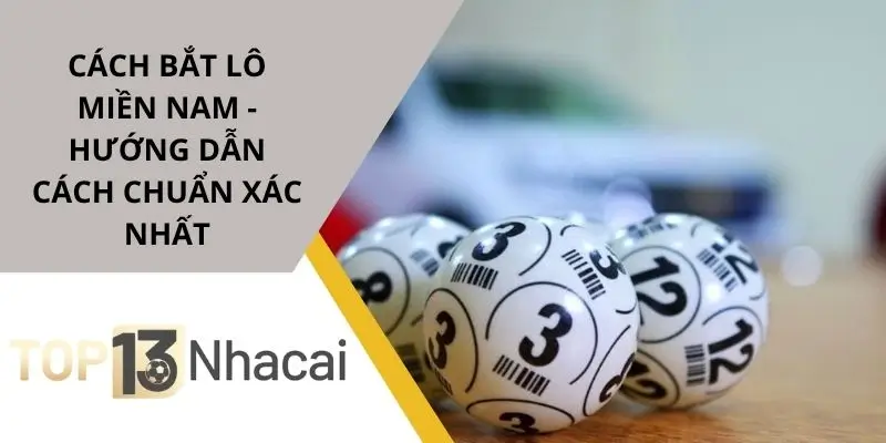 cach-bat-lo-mien-nam