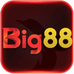 BIG88