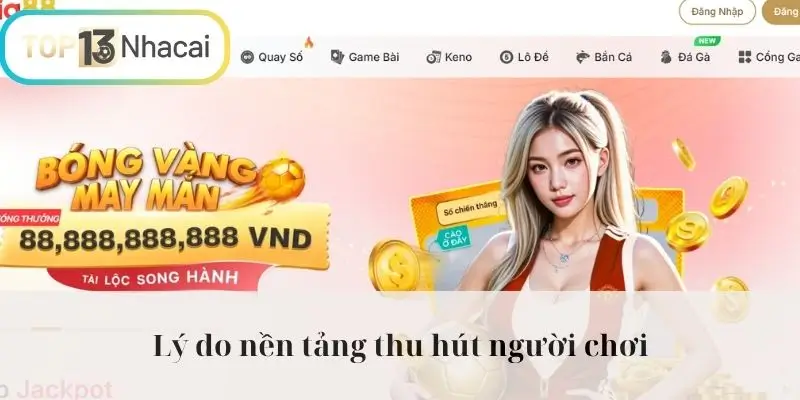 Lý do nền tảng thu hút 